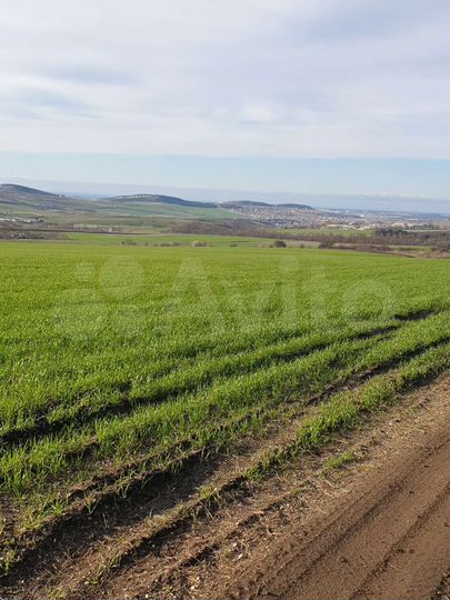 Участок 3,77 га (СНТ, ДНП)