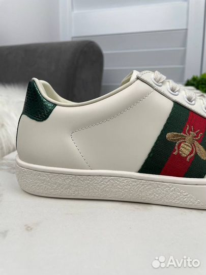 Кеды Gucci Ace