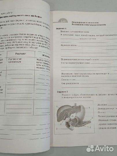 Биология рабочая тетрадь 2, 8 класс