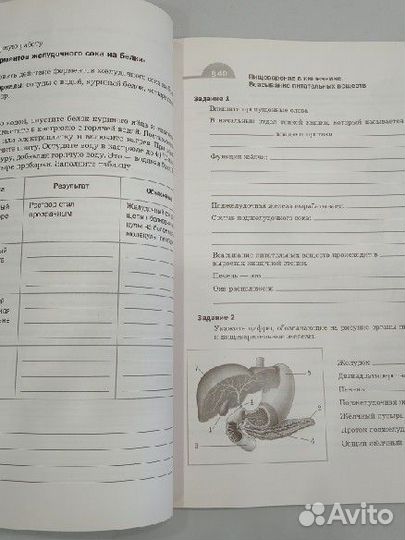 Биология рабочая тетрадь 2, 8 класс