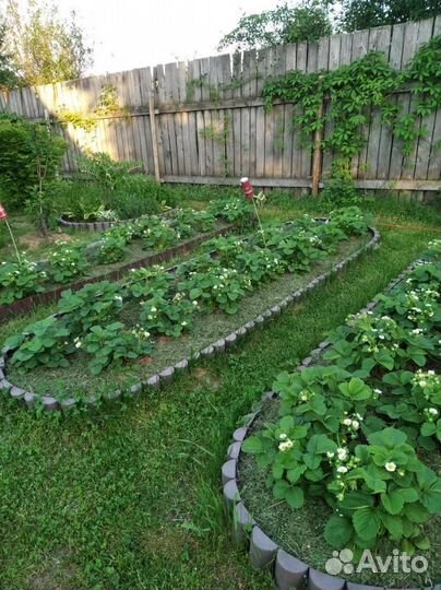 Сетка для защиты урожая от птиц