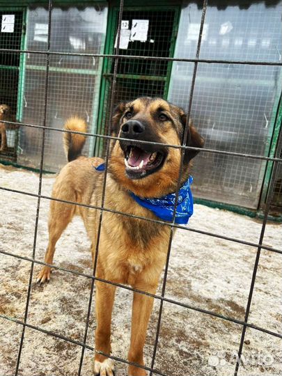 Бурбон ищет родителей