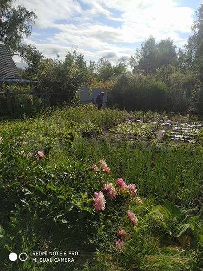 Дача 21 м² на участке 7 сот.