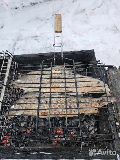 Рыба Хариус с/м крупный,свежий завоз