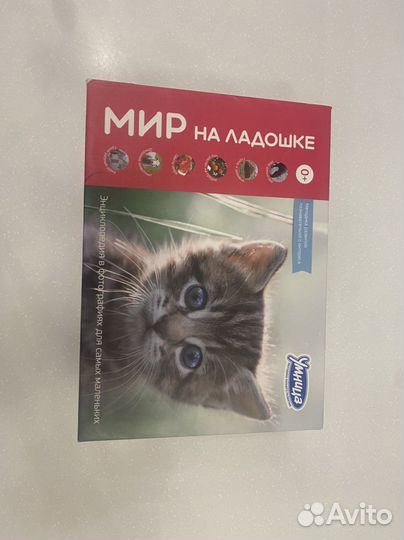 Умница мир на ладошке