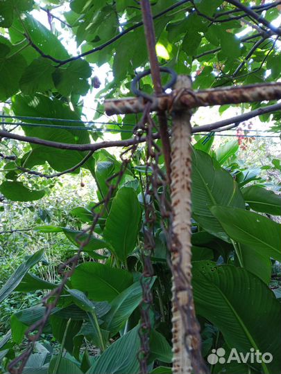 Кашпо для ампельных растений