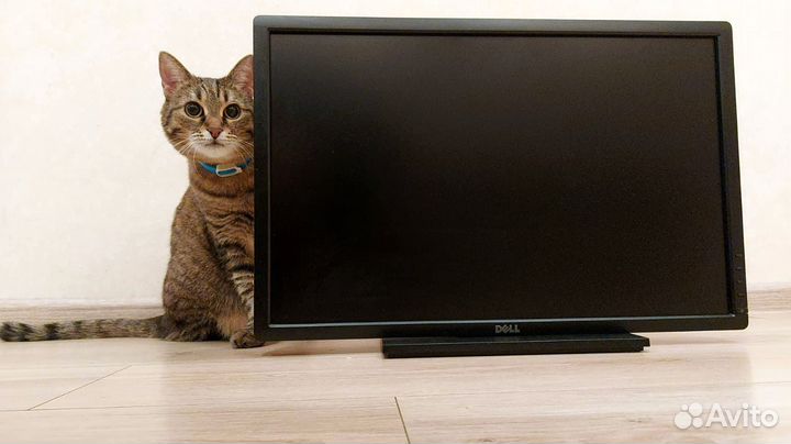 Монитор dell 24