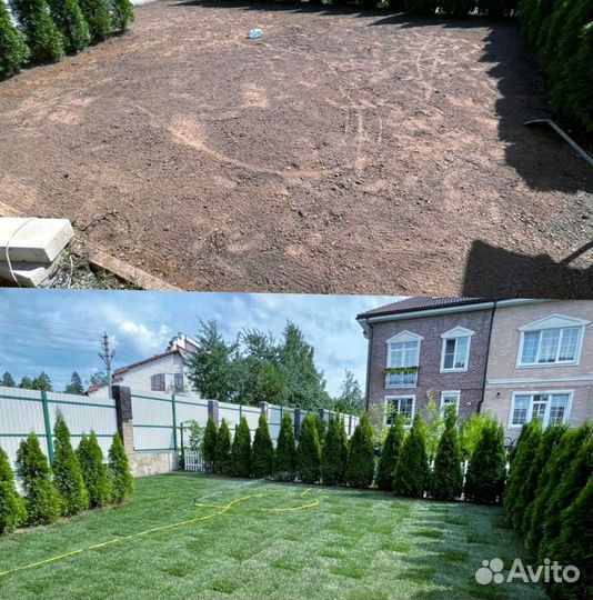 Рулонный газон