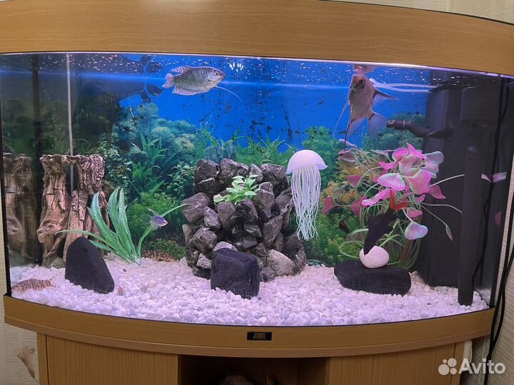 Аквариум
