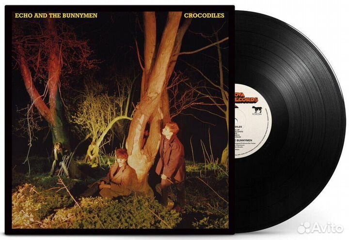 Виниловая пластинка Echo & The Bunnymen - Crocodil