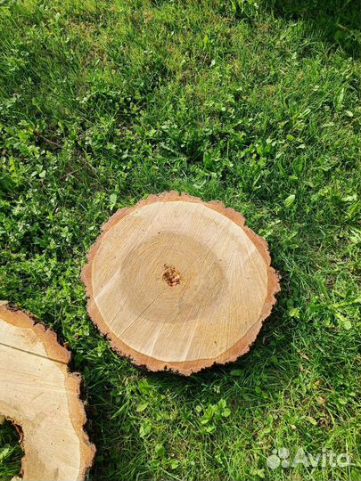 Спилы березы, слэбы