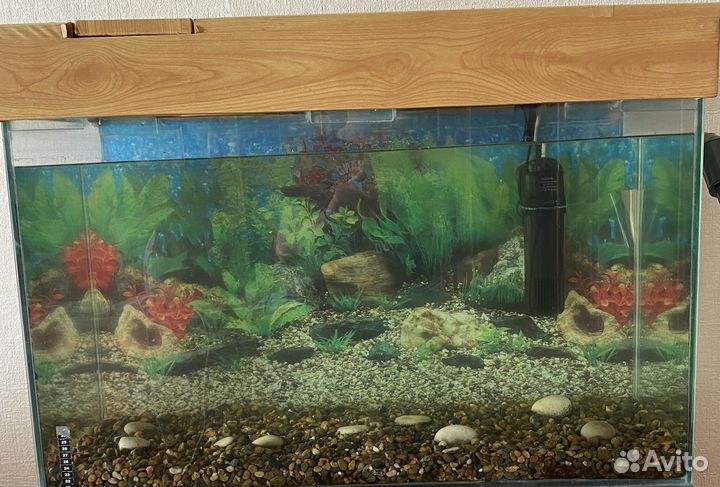 Аквариум
