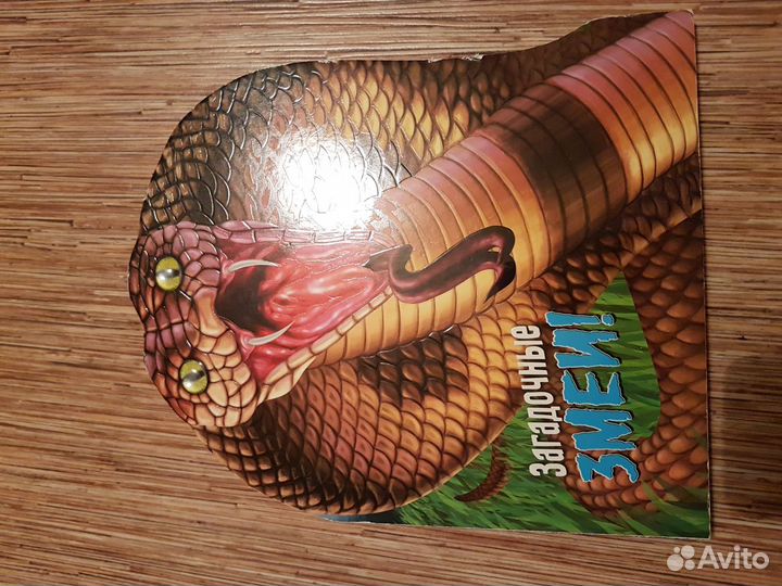 Азбука раскаски