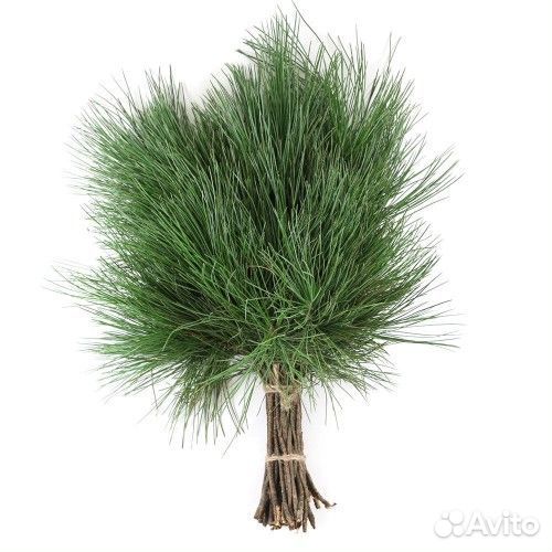 Веник кедровый, пихтовый, можжевельник