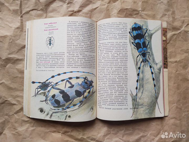 Насекомые Красной книги СССР Никитский