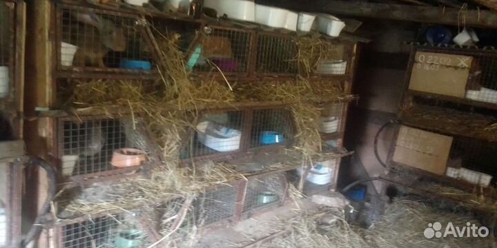 Клетка для кролика