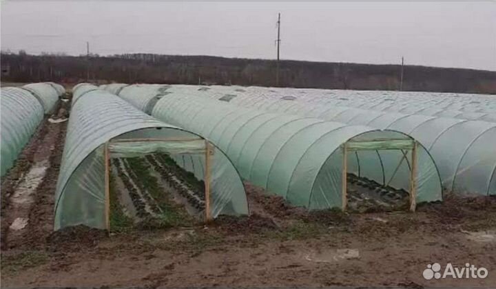 Дуги для теплиц