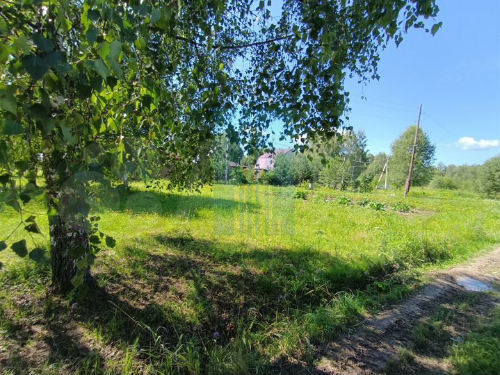 Участок 6 сот. (СНТ, ДНП)