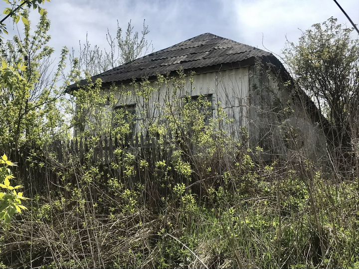 Участок 55 сот. (СНТ, ДНП)