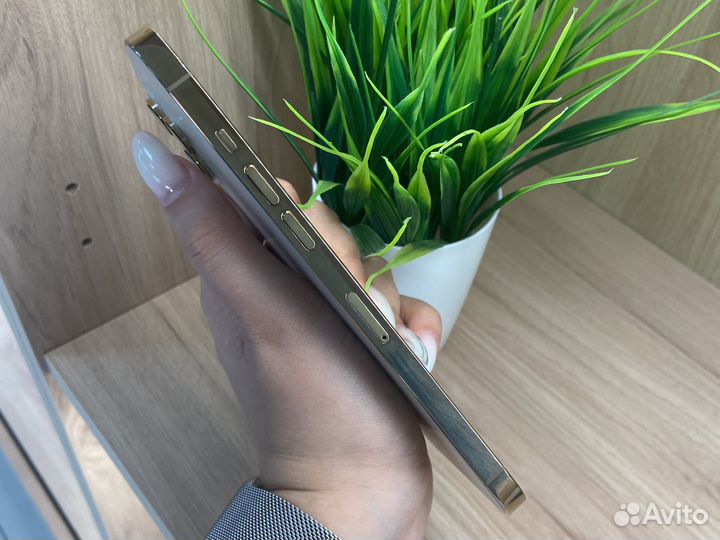 iPhone 12 Pro Max, 512 ГБ