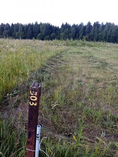 Участок 11 сот. (ИЖС)