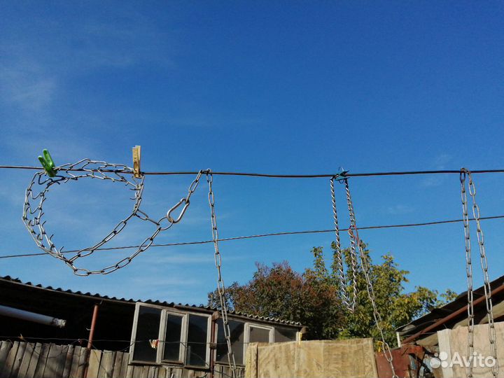 Цепь с ошейником