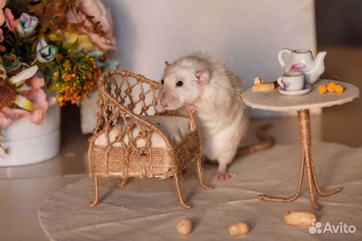 Реквизит для фотосессий