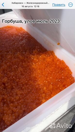 Красная икра оптом Кета И Горбуша