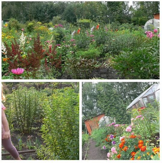 Дача 56 м² на участке 7,3 сот.