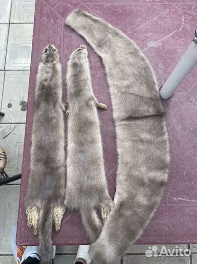 Шкурка животного