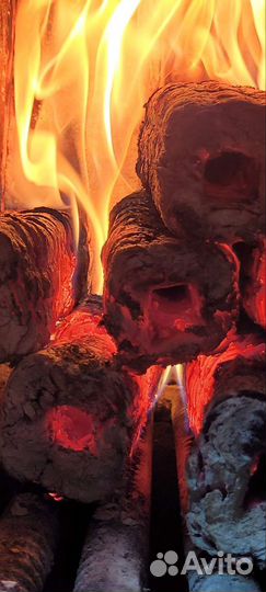 Топливные брикеты Пини-Кей