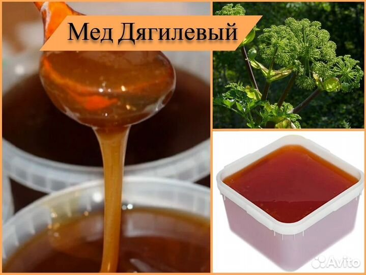 Натуральный мед (липовый, разнотравье). Алтай