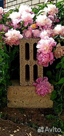 Керамзитные, керамзитобетонные блоки Zal18936