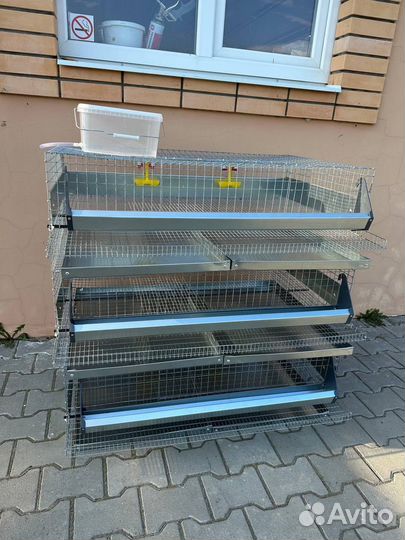 Клетки для перепелов на 150 голов