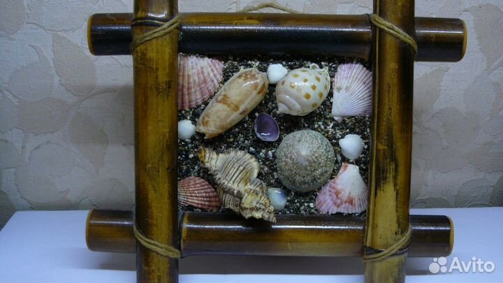Морские ракушки (декор)