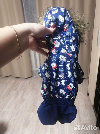 Зимний костюм для собаки