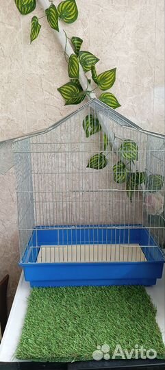Клетка для попугая бу размер 58*38*48