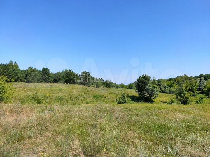 Участок 8,24 га (ИЖС)