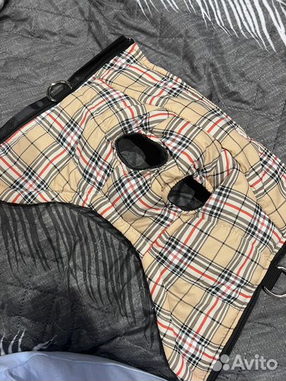 Одежда для маленьких собак xs