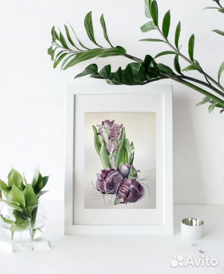 Гиацинты картина акварелью