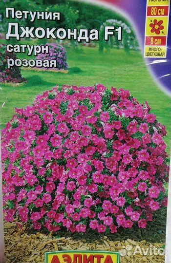 Рассада петунии