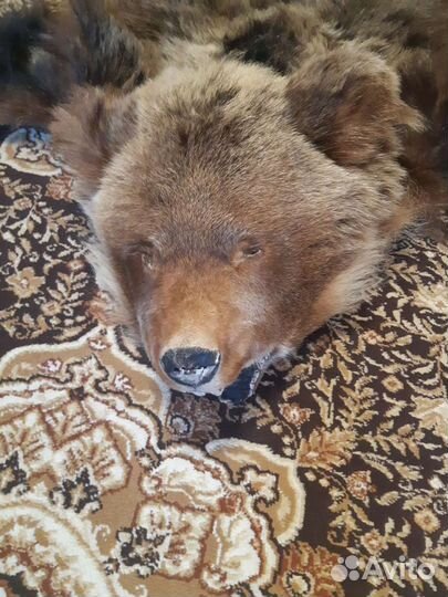 Шкура медведя имитация