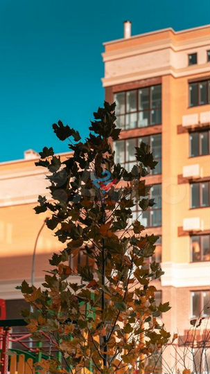 2-к. квартира, 63,2 м², 4/9 эт.