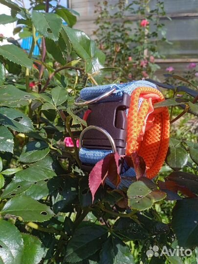 Ошейник для собак и кошек