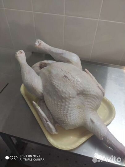 Мясо индейки