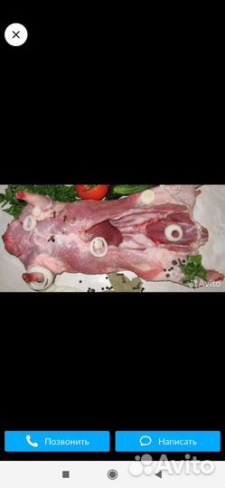 Мясо нутрии