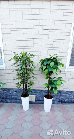 Дерево искусственное бамбук,фикус,манго
