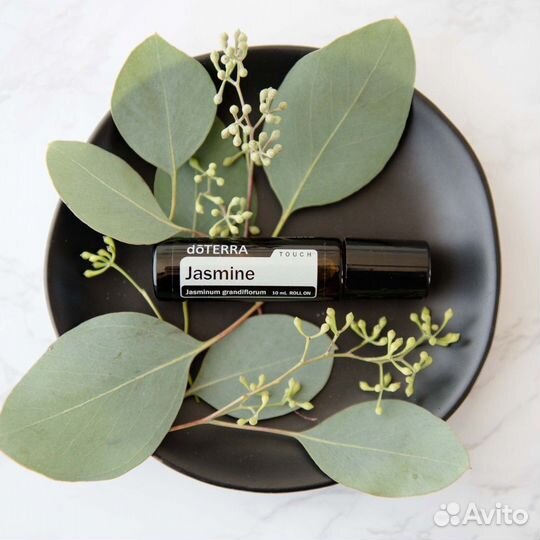 Жасмин dterra Touch Эфирное масло, ролик 10 мл
