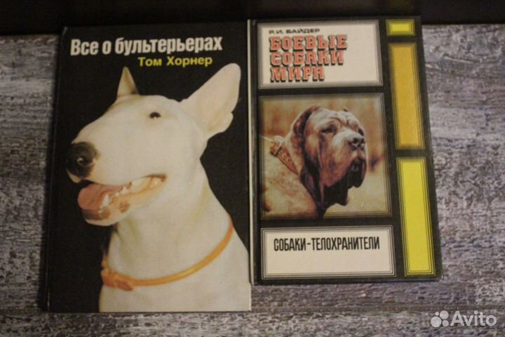 Художественная литература