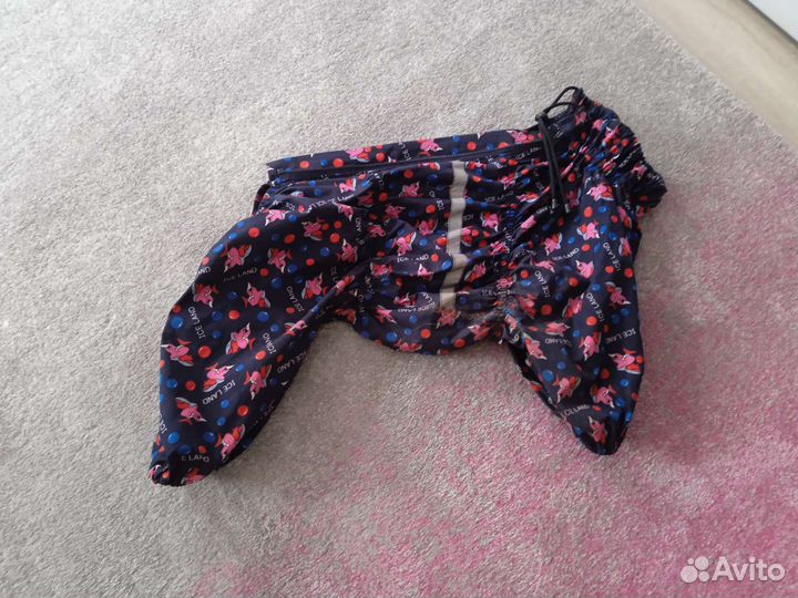 Принадлежности для собаки